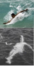 BARACK MOBAMA BODY SURF